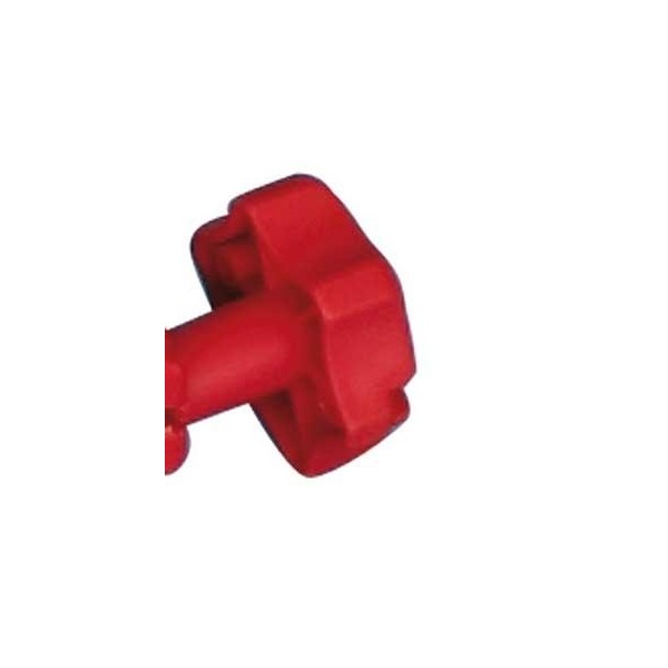 TORNILLO PARA CARRY BIKE FIAMMA